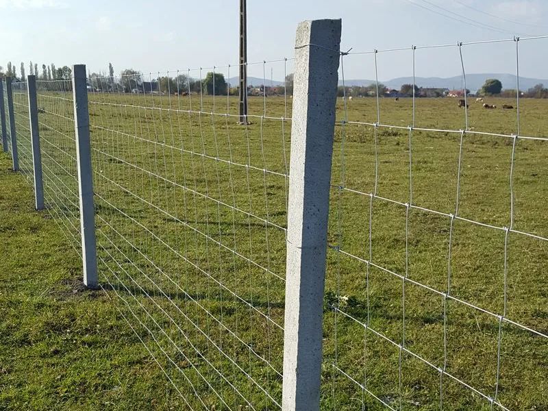 Vadháló kerítés beton oszlopokkal, legelő körül, feszítőhuzallal