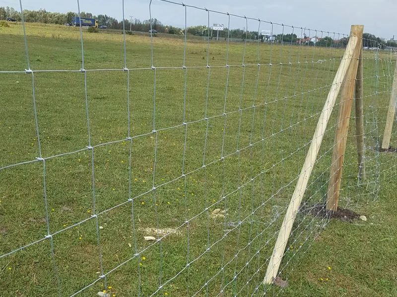 Csomózott vadháló kerítés impregnált fa oszlopokkal, mezőgazdasági területen